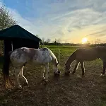 D'hotes Les Etoiles 3* Mareugheol