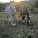 D'hotes Les Etoiles Bed & Breakfast
