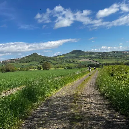 ベッド・アンド・ブレックファスト D'hotes Les Etoiles Mareugheol