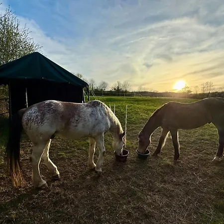 D'hotes Les Etoiles 3* Mareugheol