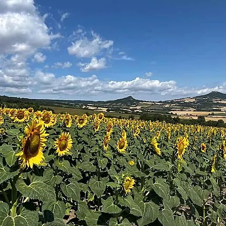 D'hotes Les Etoiles Mareugheol