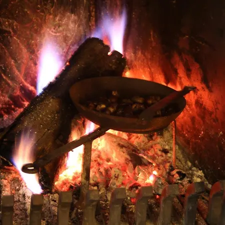 Frühstückspension D'hotes Les Etoiles Mareugheol