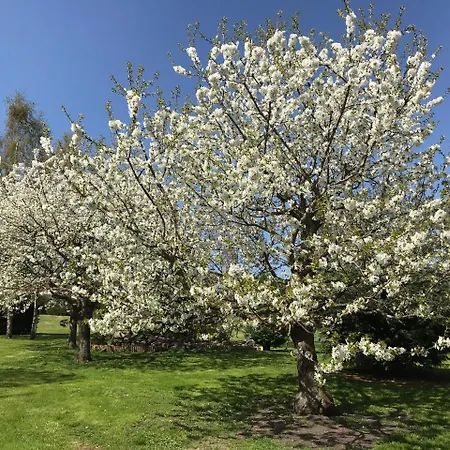 D'hotes Les Etoiles Bed & Breakfast